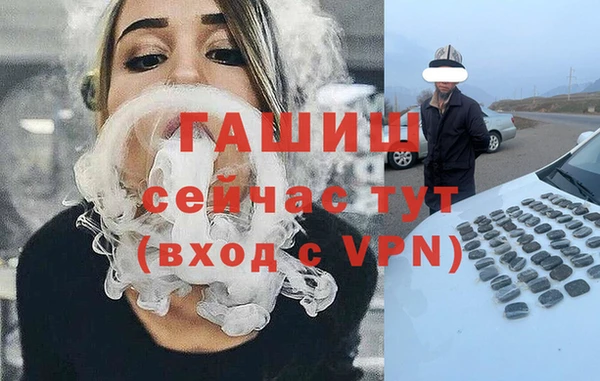 прущие грибы Гусиноозёрск