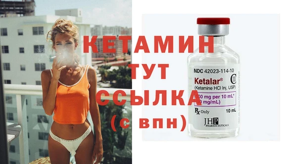 прущие грибы Гусиноозёрск