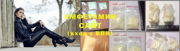 прущие грибы Гусиноозёрск