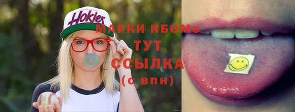 прущие грибы Гусиноозёрск