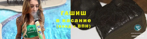 прущие грибы Гусиноозёрск