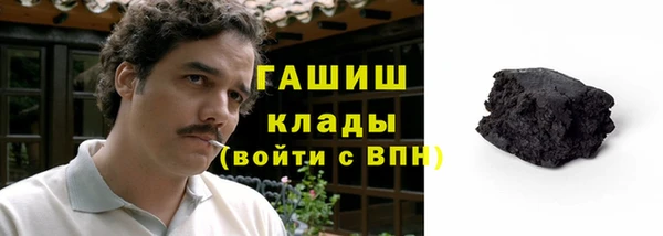 прущие грибы Гусиноозёрск