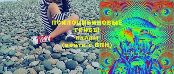 прущие грибы Гусиноозёрск