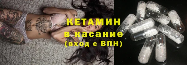 прущие грибы Гусиноозёрск