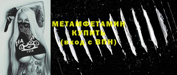 прущие грибы Гусиноозёрск