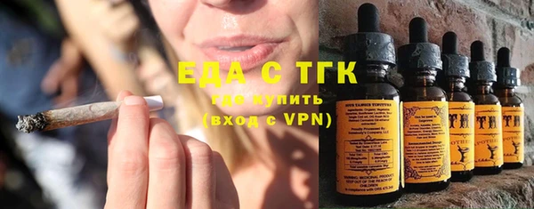 прущие грибы Гусиноозёрск