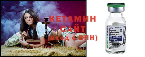 прущие грибы Гусиноозёрск