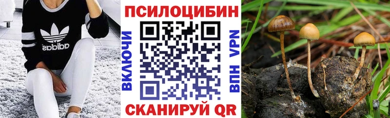 Галлюциногенные грибы Psilocybe  наркота  MEGA как войти  Комсомольск-на-Амуре 